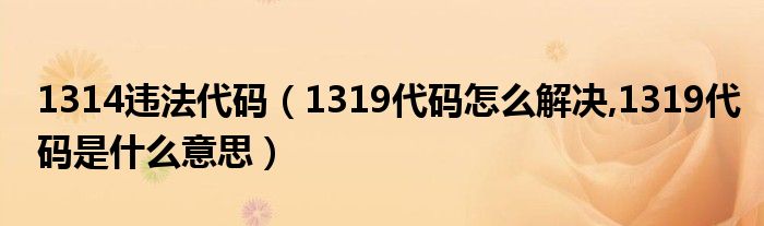 1314违法代码 1319代码怎么解决 1319代码是什么意思 城市网