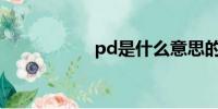 pd是什么意思的缩写