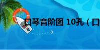 口琴音阶图 10孔（口琴音阶图）