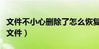 文件不小心删除了怎么恢复（为什么无法删除文件）