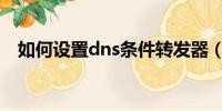 如何设置dns条件转发器（如何设置dns）