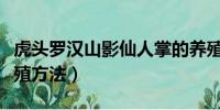 虎头罗汉山影仙人掌的养殖方法（仙人掌的养殖方法）