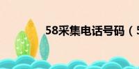 58采集电话号码（58采集）