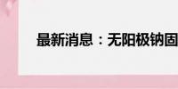 最新消息：无阳极钠固态电池面世