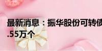 最新消息：振华股份可转债中签号出炉 共约9.55万个