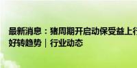 最新消息：猪周期开启动保受益上行？业内人士：开始出现好转趋势｜行业动态