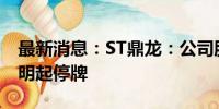 最新消息：ST鼎龙：公司股票将被终止上市 明起停牌