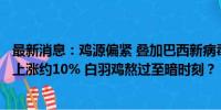 最新消息：鸡源偏紧 叠加巴西新病毒来袭 毛鸡价格1个月内上涨约10% 白羽鸡熬过至暗时刻？