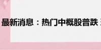 最新消息：热门中概股普跌 理想汽车跌超4%