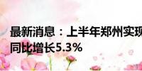 最新消息：上半年郑州实现GDP7252.4亿元 同比增长5.3%