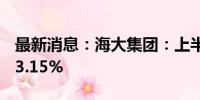 最新消息：海大集团：上半年净利同比增长93.15%