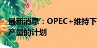 最新消息：OPEC+维持下季度开始恢复石油产量的计划