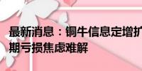 最新消息：铜牛信息定增扩规模追赶同行，短期亏损焦虑难解