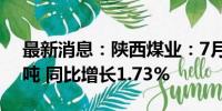 最新消息：陕西煤业：7月煤炭产量1396万吨 同比增长1.73%