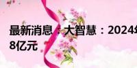 最新消息：大智慧：2024年上半年净亏损1.38亿元