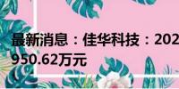 最新消息：佳华科技：2024年上半年净亏损2950.62万元