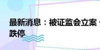 最新消息：被证监会立案 任子行等多股竞价跌停