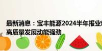 最新消息：宝丰能源2024半年报业绩亮眼：营收净利双增，高质量发展动能强劲