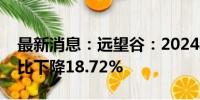 最新消息：远望谷：2024年上半年净利润同比下降18.72%