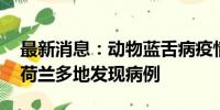 最新消息：动物蓝舌病疫情在欧洲多国蔓延 荷兰多地发现病例