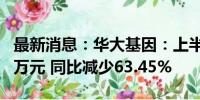 最新消息：华大基因：上半年净利润1819.98万元 同比减少63.45%