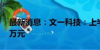 最新消息：文一科技：上半年净利润803.39万元