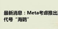 最新消息：Meta考虑推出混合现实眼镜 内部代号“海鹦”