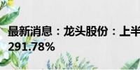 最新消息：龙头股份：上半年净利润同比增长291.78%