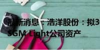 最新消息：浩洋股份：拟300万欧元收购丹麦SGM Light公司资产