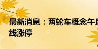 最新消息：两轮车概念午后异动 上海凤凰直线涨停