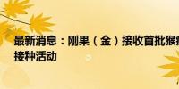 最新消息：刚果（金）接收首批猴痘疫苗 预计10月初启动接种活动