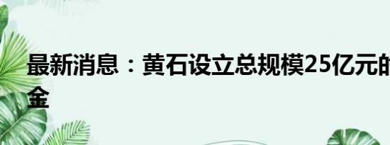 最新消息：黄石设立总规模25亿元的两支基金