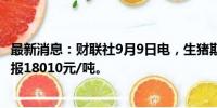 最新消息：财联社9月9日电，生猪期货主力合约跌幅达2%，报18010元/吨。